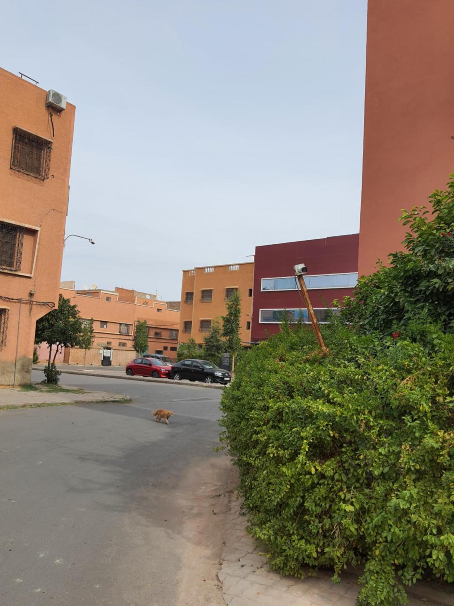 Marrakech Marraquexe Exterior foto