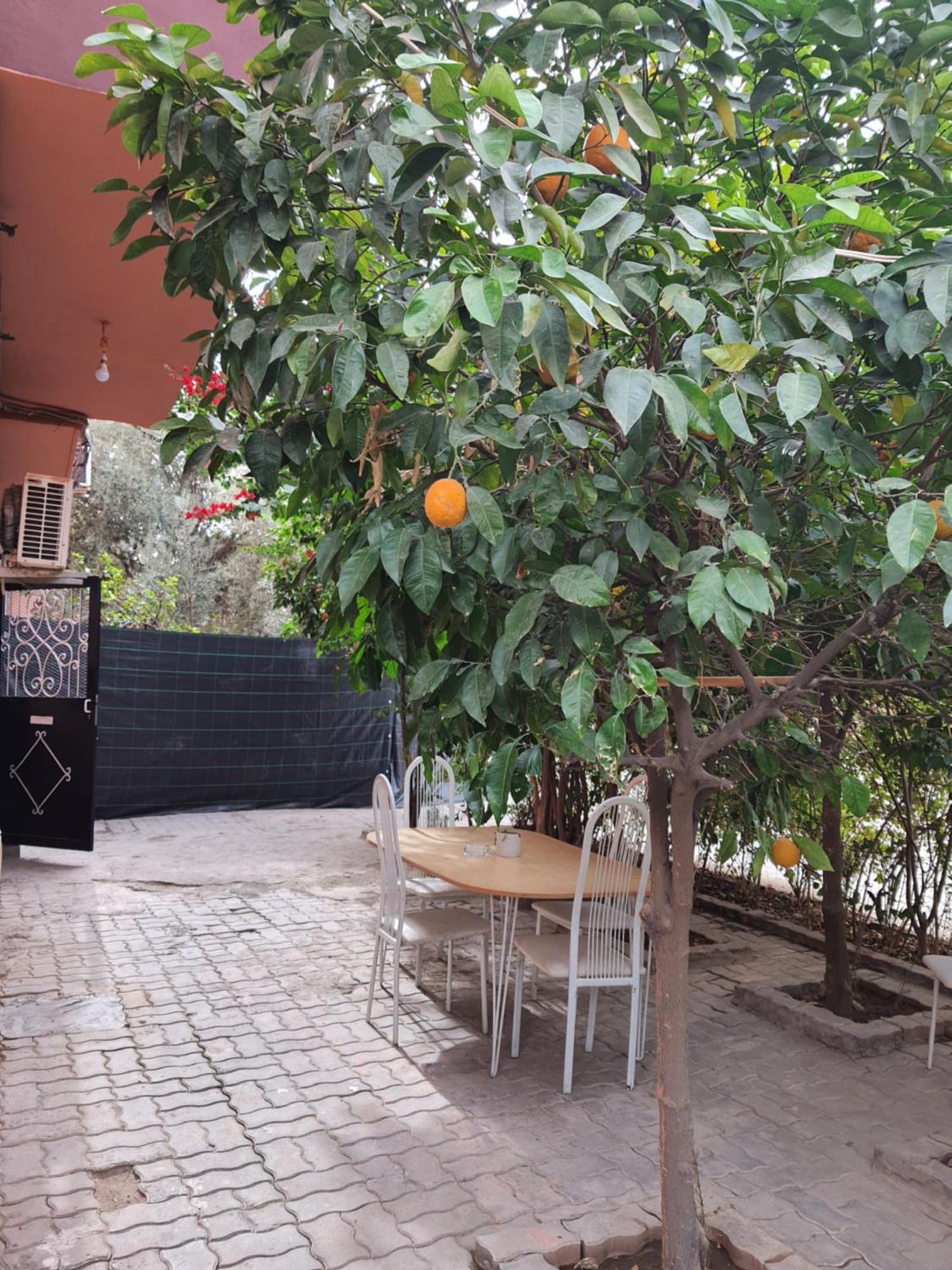 Marrakech Marraquexe Exterior foto
